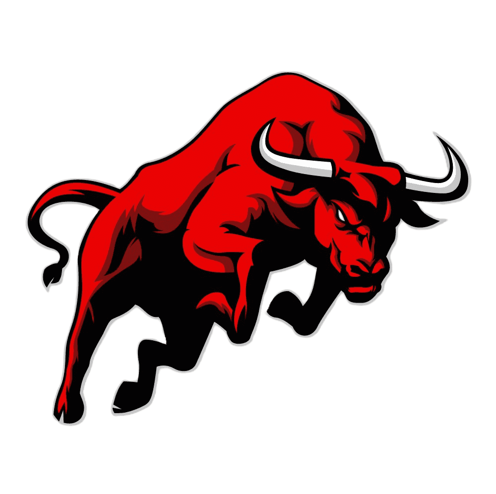 Market Saga bull
